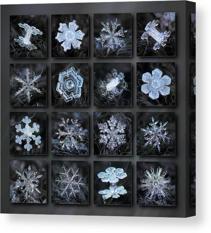 Snowflake Canvas Print featuring the photograph Dark snowflake collage - winter 2020-21 by Alexey Kljatov