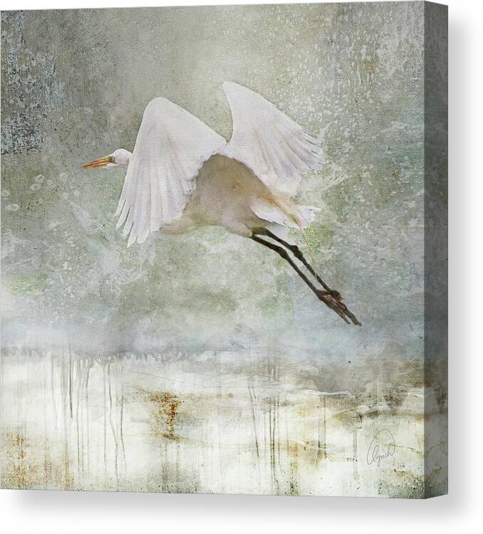 Bird Canvas Print featuring the photograph Departure by Karen Lynch