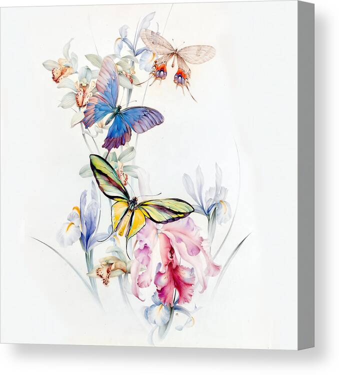 Edward Julius Detmold Canvas Print featuring the photograph Detmold Flowers and Butterflies by Munir Alawi