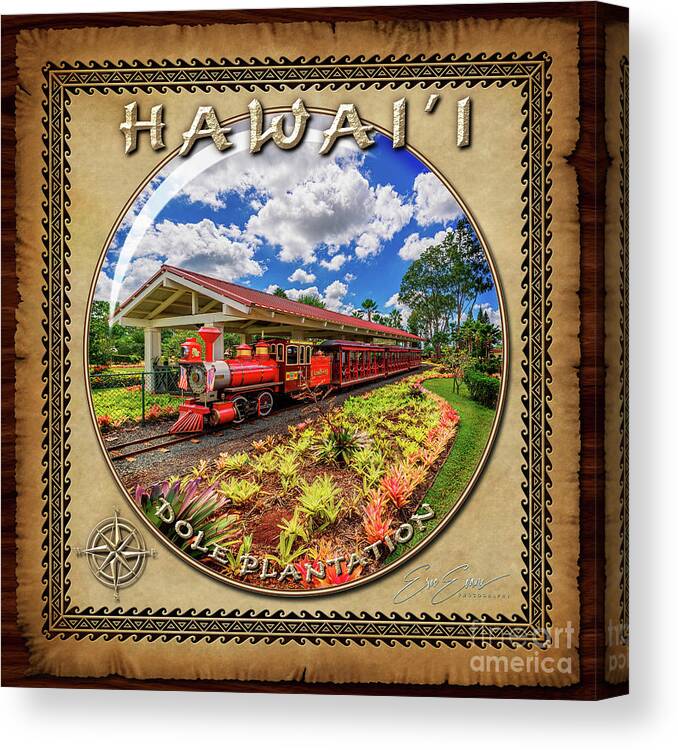 Dole Plantation Train Canvas Print featuring the photograph Dole Plantation Train Sphere Image with Hawaiian Style Border by Aloha Art