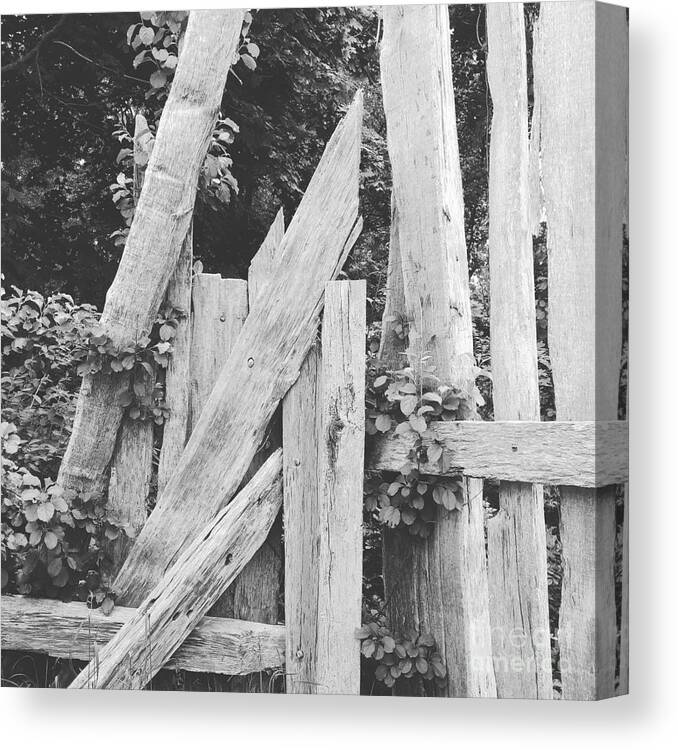 Black And White Canvas Print featuring the photograph Don't Fence Me In by Jeff Danos