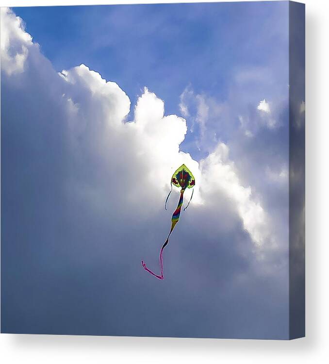 Kite Canvas Print featuring the photograph Dragon Kite by Grey Coopre