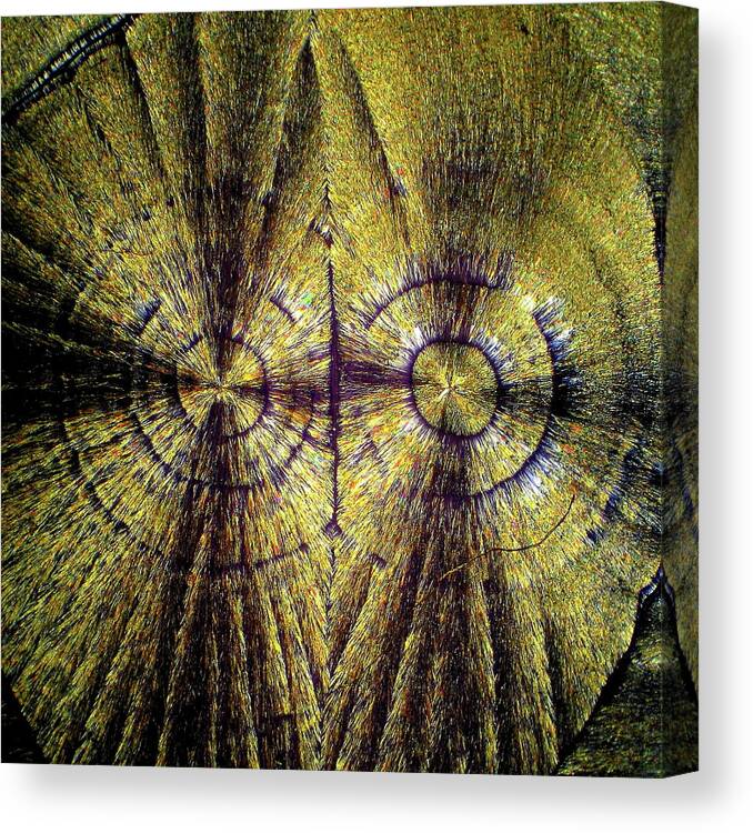 Drugs Canvas Print featuring the photograph Dual Cocaine Crystals by Hodges Jeffery