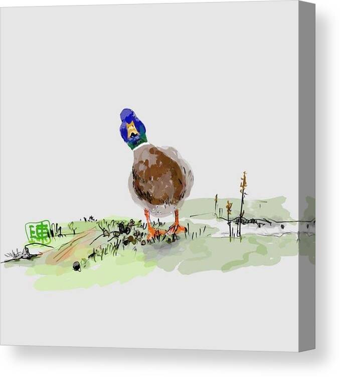 Duck. Solo Canvas Print featuring the digital art Duck with Attitude by Debbi Saccomanno Chan