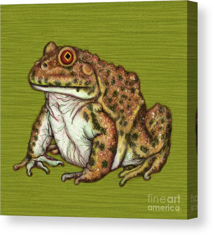 Frog Canvas Print featuring the painting East Asian Bullfrog by Amy E Fraser