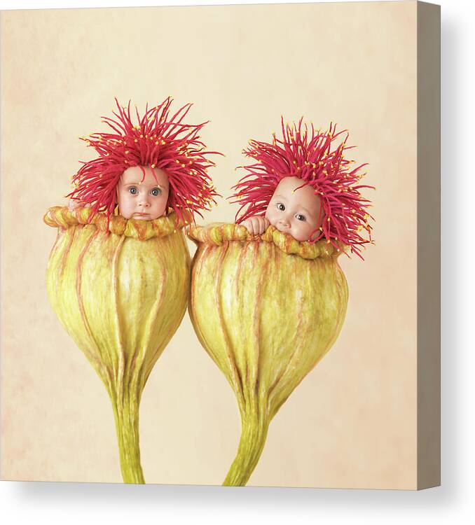 Flowers Canvas Print featuring the photograph Eucalyptus Babies by Anne Geddes