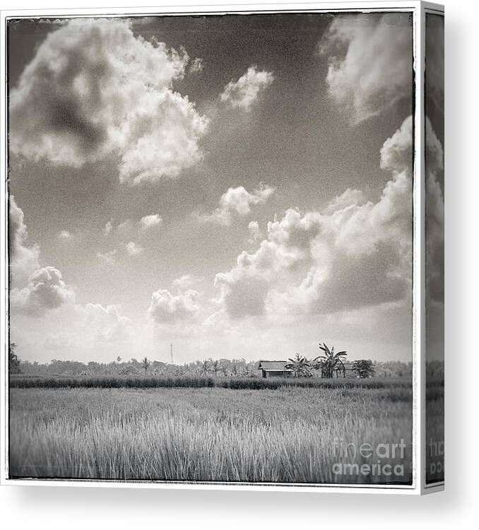 Bali Canvas Print featuring the photograph Field and Sky by Wendy Golden