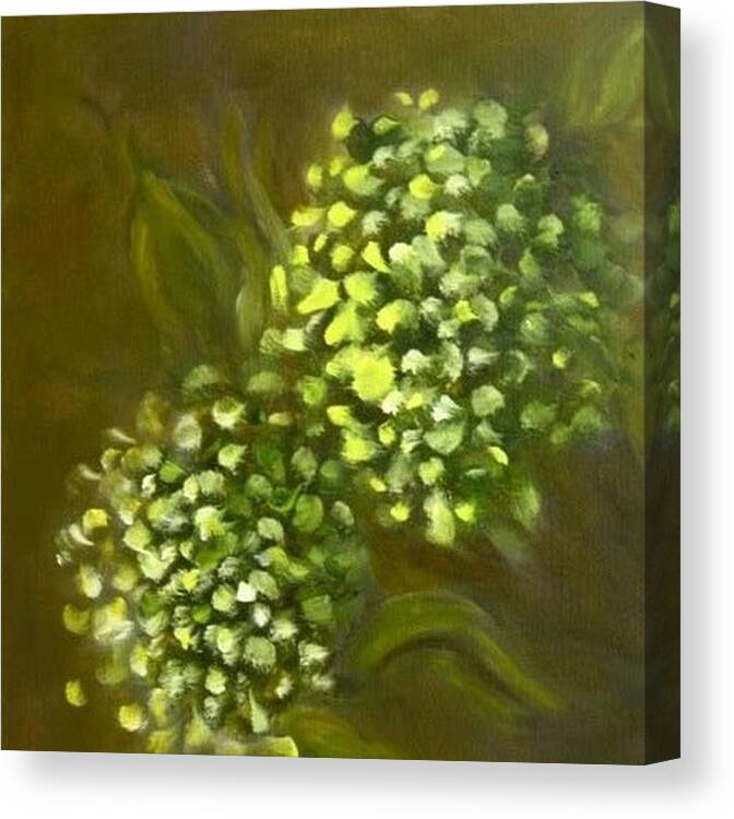 Hydrangea Canvas Print featuring the painting Flowers from my Garden by Juliette Becker