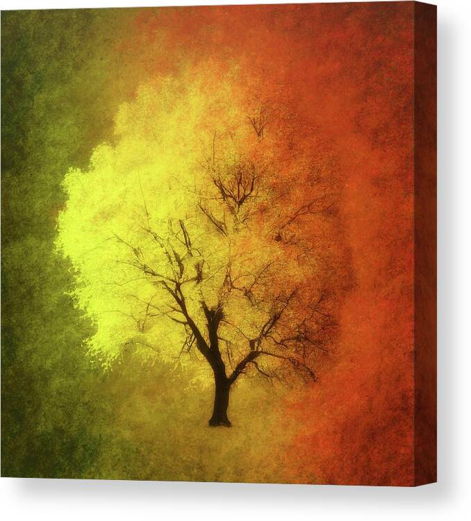 Summer Canvas Print featuring the photograph From Summer To Fall by James DeFazio