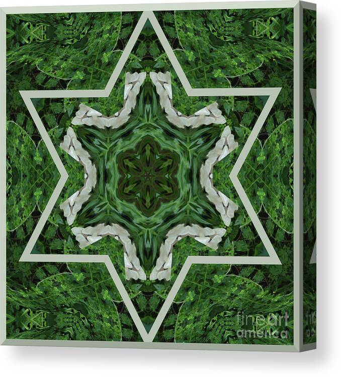 Star Canvas Print featuring the digital art Fungal Star Kaleidoscope by Charles Robinson