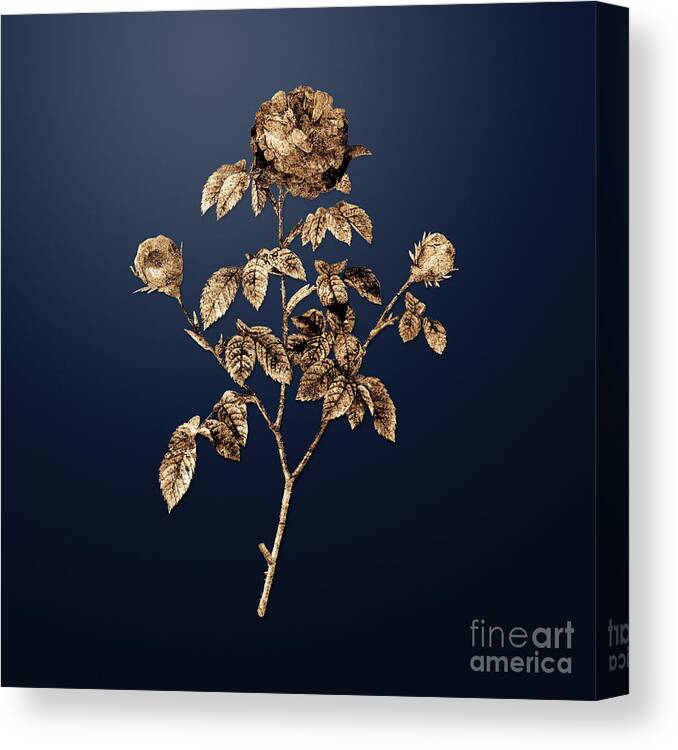 Gold Canvas Print featuring the painting Gold Agatha Rose in Bloom on Midnight Navy n.00804 by Holy Rock Design