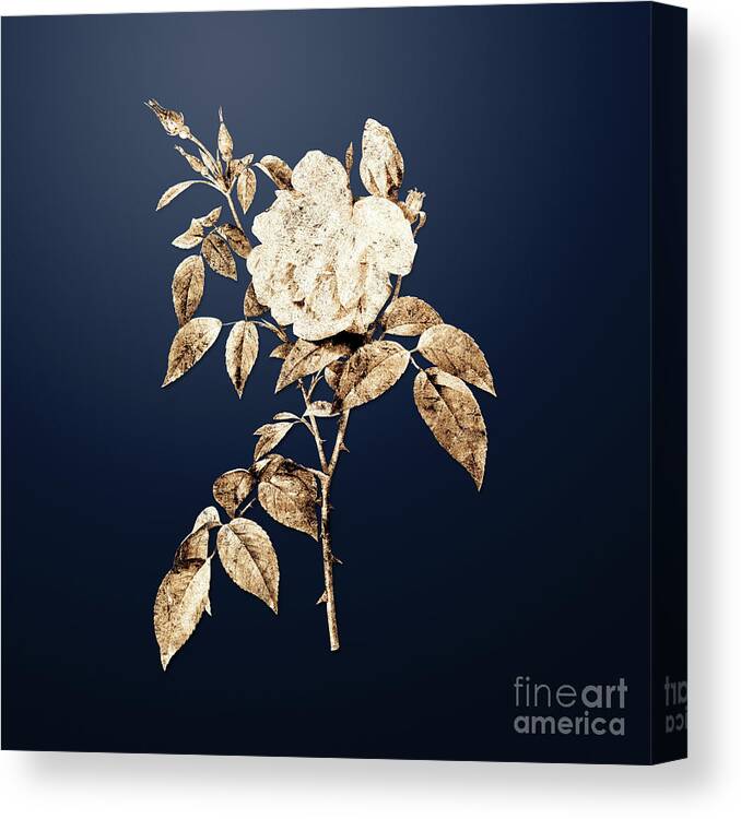 Gold Canvas Print featuring the painting Gold Fragrant Rosebush on Midnight Navy n.01533 by Holy Rock Design
