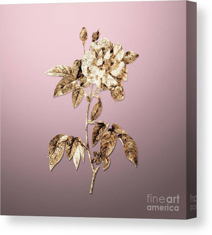Gold Canvas Print featuring the painting Gold French Rosebush with Variegated Flowers on Rose Quartz n.00807 by Holy Rock Design