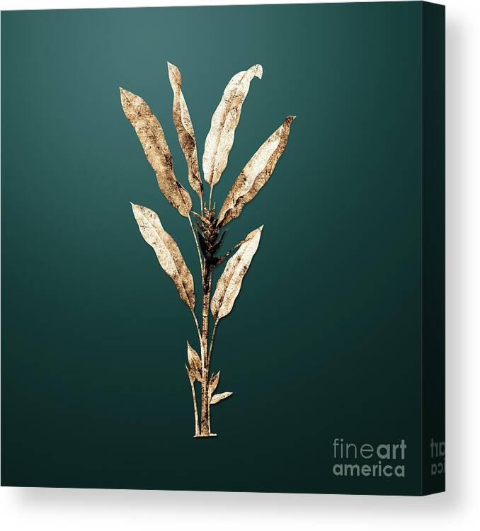Gold Canvas Print featuring the painting Gold Parrot Heliconia on Dark Teal n.03103 by Holy Rock Design