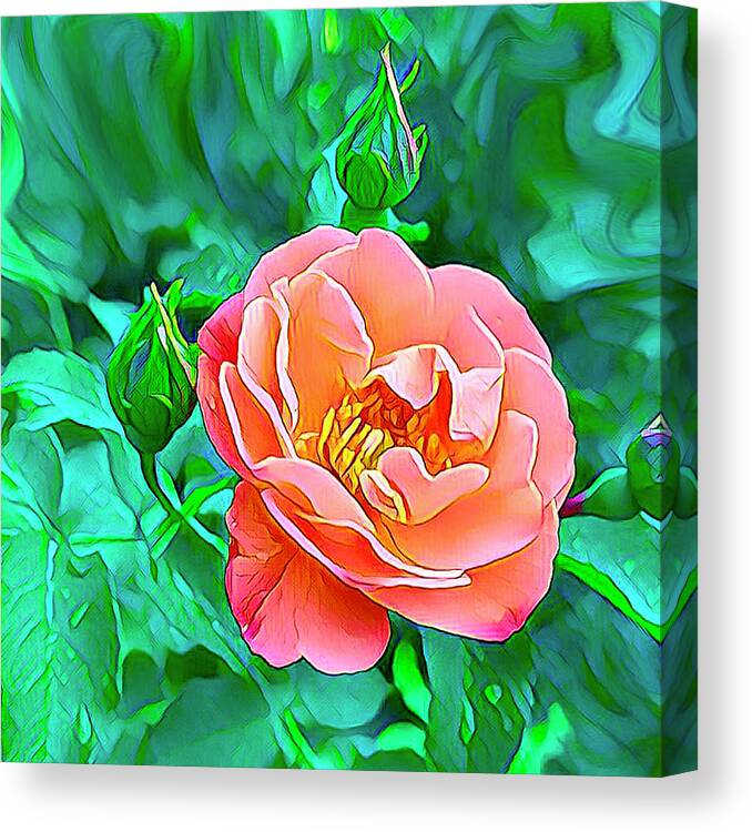 Flowers Canvas Print featuring the digital art Gorgeous Rose by Nancy Olivia Hoffmann