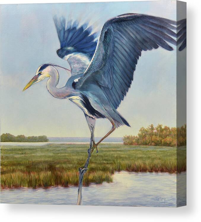 Great Blue Heron Painting Marsh Coast Coastal Green Tide Creek Wings Taking Flight Dancing For Dinner Balancing Act Stick Legs Wing Beat Light As Air Canvas Print featuring the painting Great Blue by Pam Talley