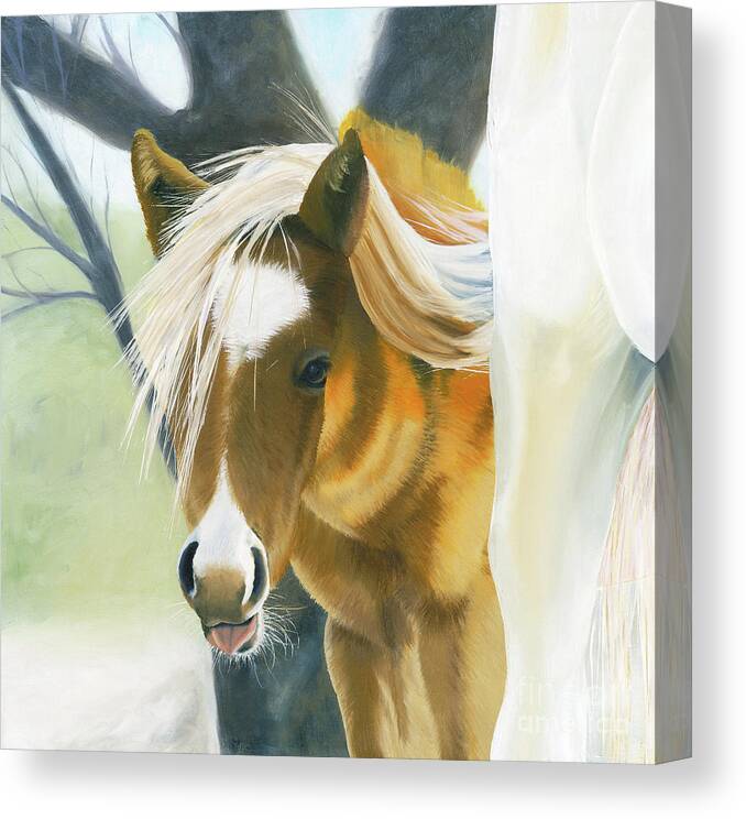 Cute Foal Canvas Print featuring the painting Hair-Do by Shannon Hastings