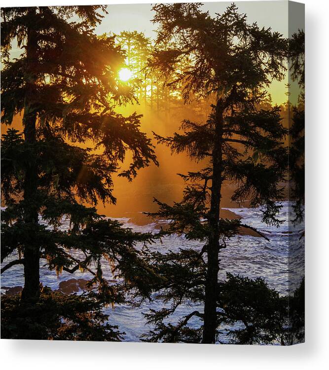 Sunrise Canvas Print featuring the photograph Here comes the sun by Stephen Sloan