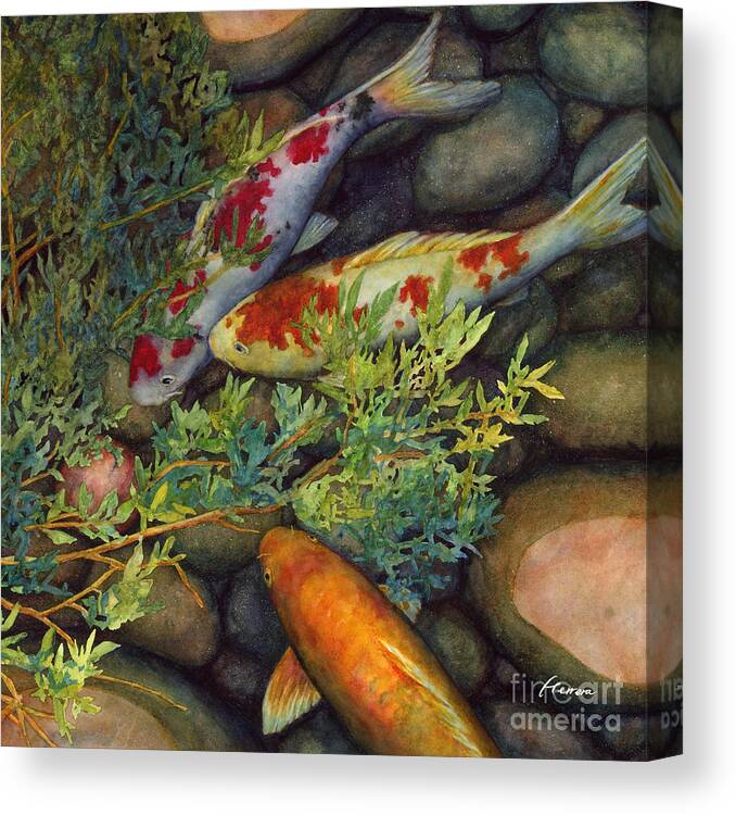 Koi Canvas Print featuring the painting Hidden Treasure - Kohaku and Orange Koi by Hailey E Herrera