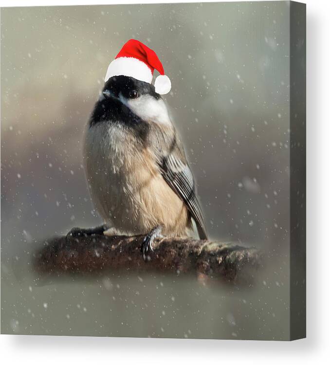 Song Bird Canvas Print featuring the photograph Holiday Chicadee by Cathy Kovarik