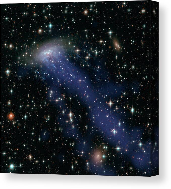 Photography Canvas Print featuring the photograph Hubble image of a Runaway Galaxy by Nasa