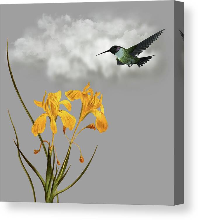 Hummingbird Canvas Print featuring the digital art Hummingbird In The Garden Pane 5 by David Dehner