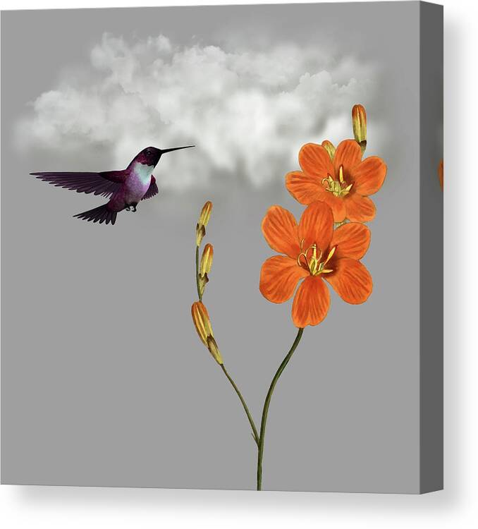 Hummingbird Canvas Print featuring the digital art Hummingbird in the Garden Pane 2 by David Dehner
