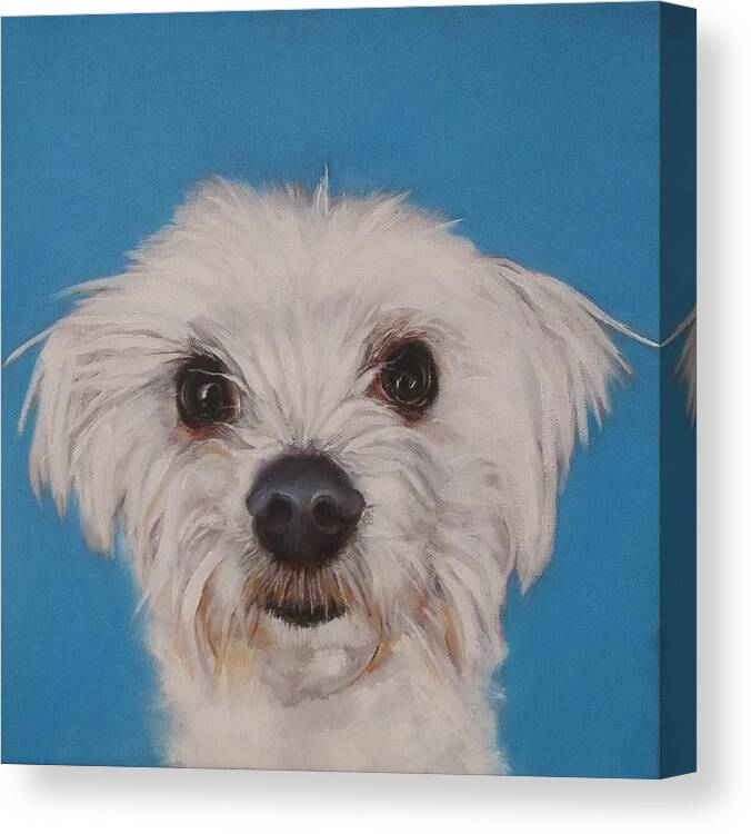 Dog Canvas Print featuring the painting I Like The Wind In My Face by Jean Cormier