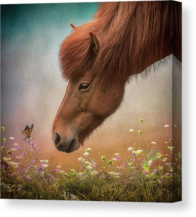 Icelandic Horse Canvas Print featuring the digital art Icelandic Horse by Maggy Pease