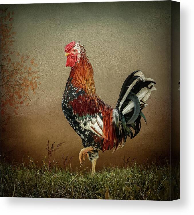 Icelandic Rooster Canvas Print featuring the digital art Icelandic Rooster by Maggy Pease