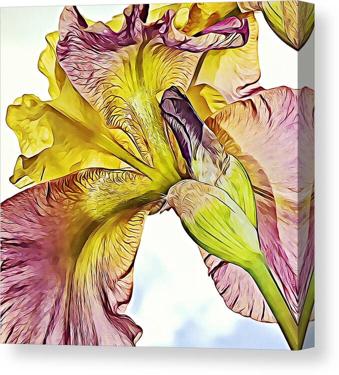 Purple Canvas Print featuring the photograph Iris Abstract Squared by Gaby Ethington
