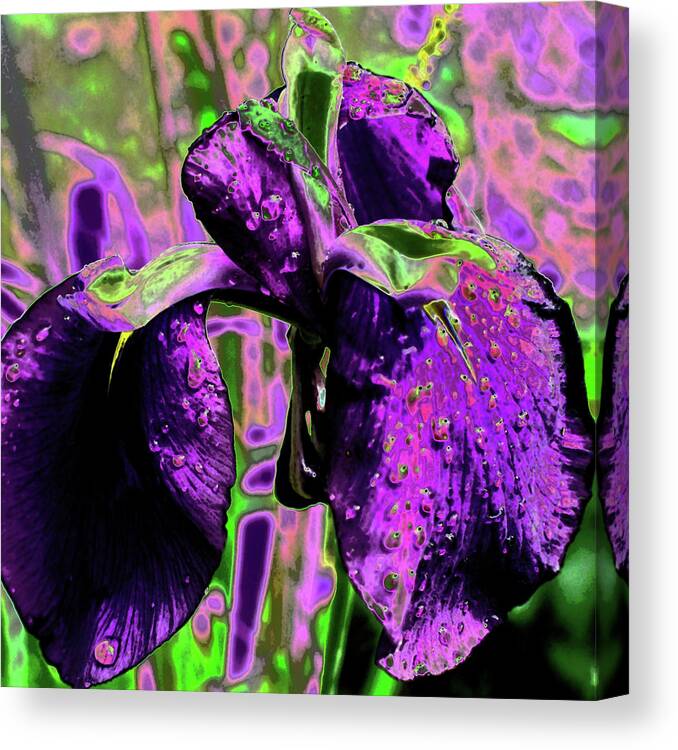 Iris Canvas Print featuring the photograph Iris In Neon by Simone Hester