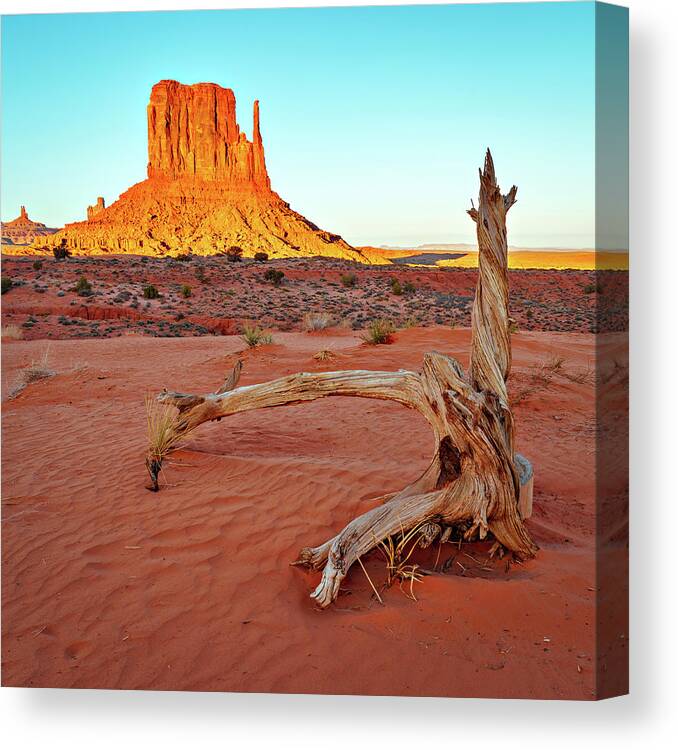Monument Valley Canvas Print featuring the photograph January 2020 Mitten and Stump Sunset by Alain Zarinelli