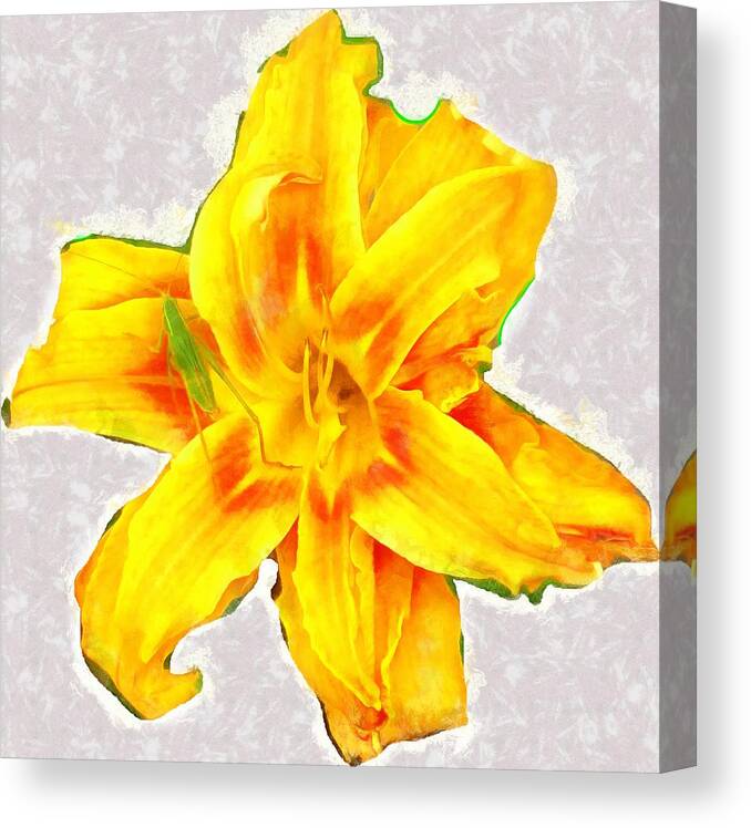 Katydid Canvas Print featuring the mixed media Katydid on Daylily by Christopher Reed