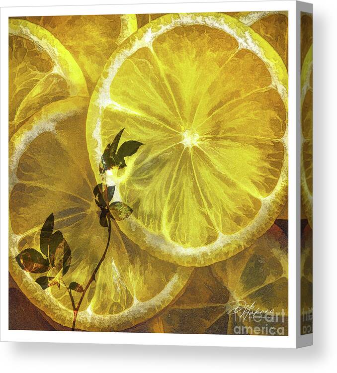Food Canvas Print featuring the digital art Lemon Slices by Deb Nakano