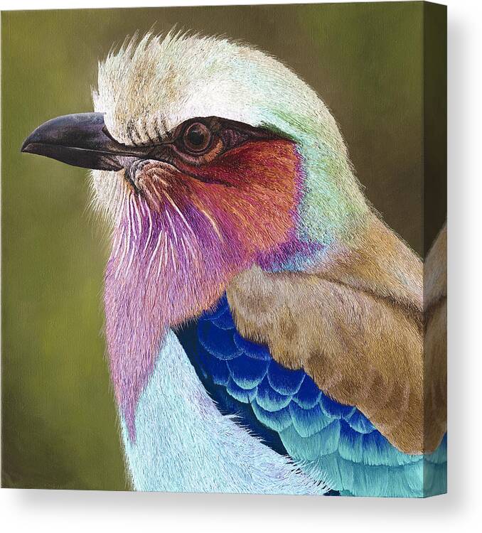 Lilac Breasted Roller Canvas Print featuring the painting Lilac breasted roller II by Russell Hinckley