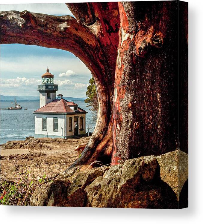 Lighthouse Canvas Print featuring the photograph Lime Kiln Lighthouse by Tony Locke