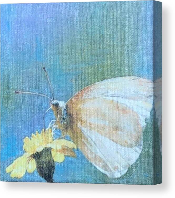 Moth Canvas Print featuring the painting Looking Ahead by Cara Frafjord