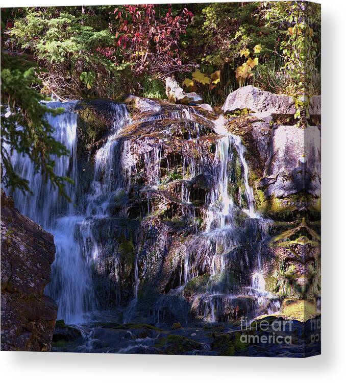 Waterfall Canvas Print featuring the photograph Lost Creek Waterfall by Kae Cheatham