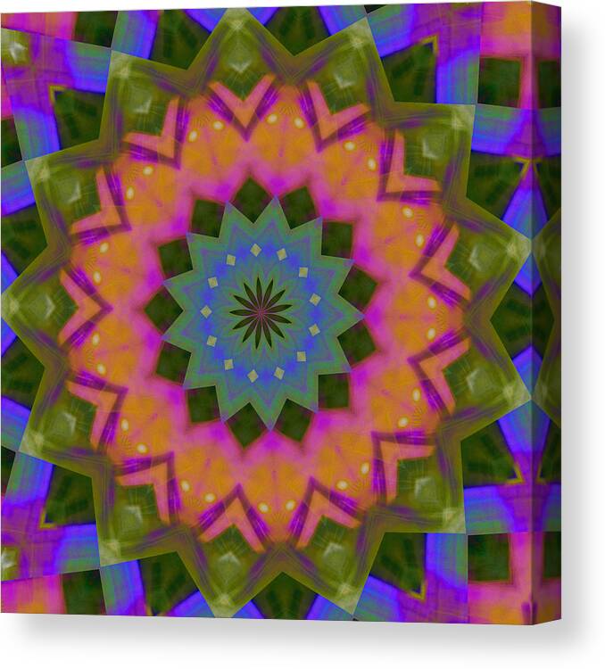 Cosmic Flower Canvas Print featuring the digital art Lucky Thirteen by Tom Druin