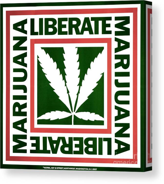 1975 Canvas Print featuring the drawing MARIJUANA POSTER, c1975 by Granger