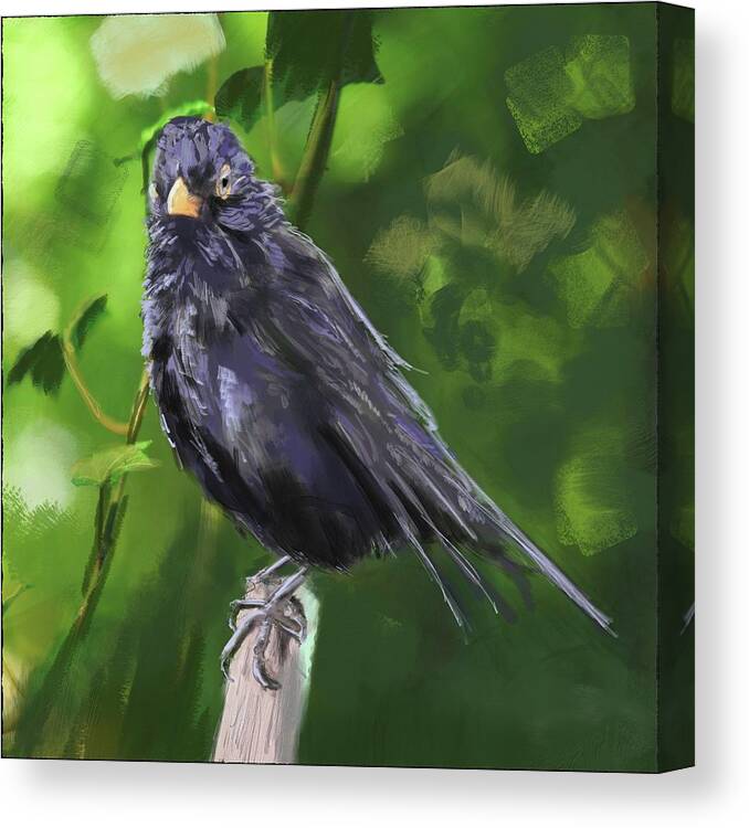 Wild Life Canvas Print featuring the painting Marle aka Scottish Blackbird by Rob Hartman