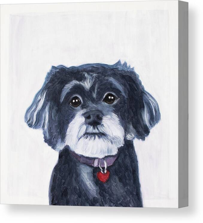 Poodle Canvas Print featuring the painting Megan by Pamela Schwartz