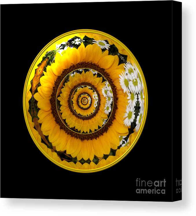 Sunflowers Canvas Print featuring the photograph Mirrored Sunflower under glass 1 by Rose Santuci-Sofranko