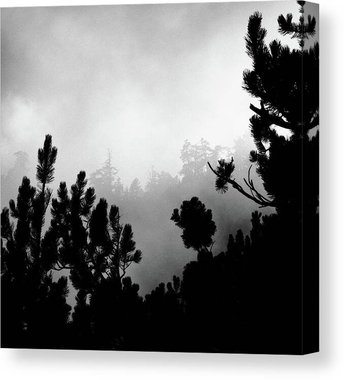 Mist Canvas Print featuring the photograph Misty mountain IV - Olympus, Greece by George Vlachos