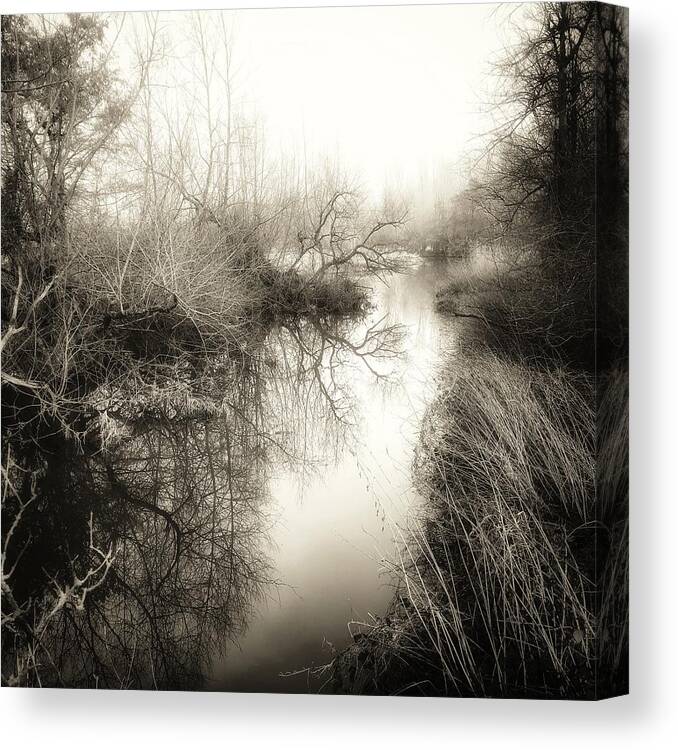 Misty Canvas Print featuring the photograph Misty river by Chris Clark