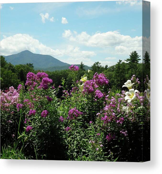 New Hampshire Canvas Print featuring the photograph Monadnock by Catherine Arcolio