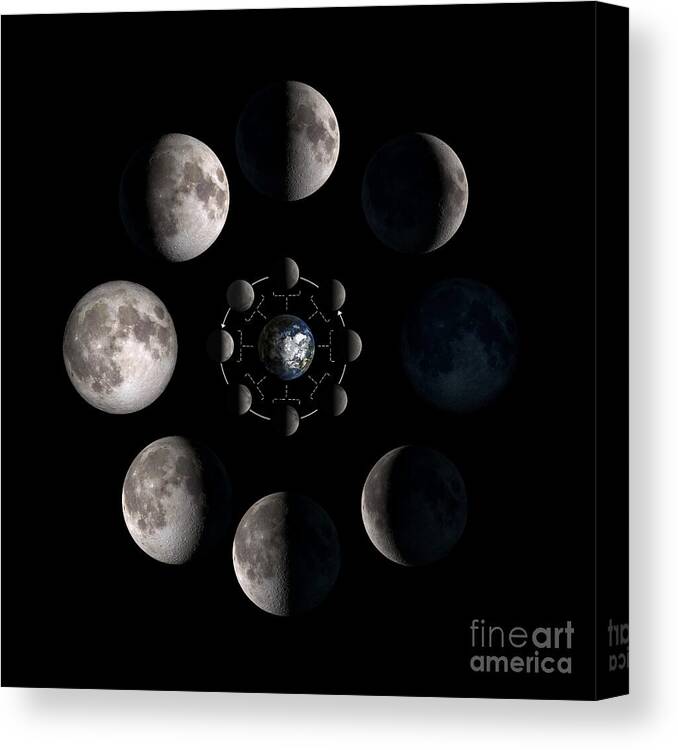 Moon phases and earth Canvas Print / Canvas Art by Courtesy of NASA - Fine  Art America