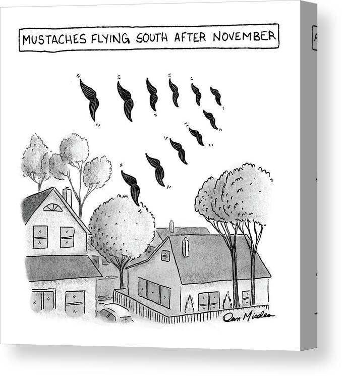 Captionless Canvas Print featuring the drawing Mustaches Flying South After November by Dan Misdea