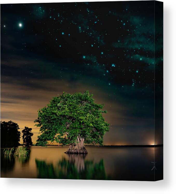 Instagram Canvas Print featuring the photograph Mysterious Full Frame Signed by Todd Tucker